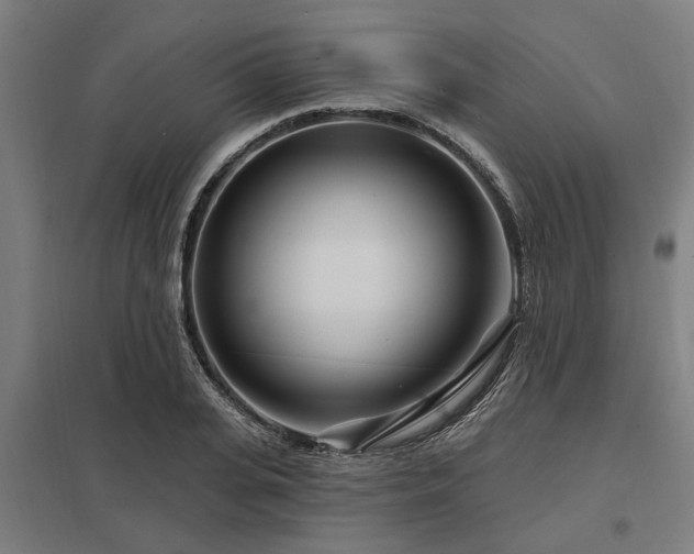 X0000098050935200803281452
