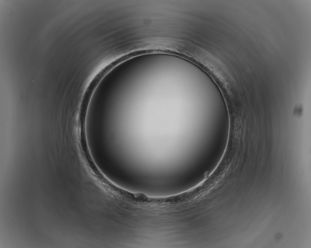 X0000098050936200803281452