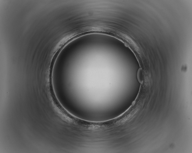 X0000098050938200803281452