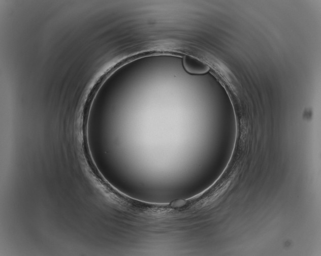 X0000098050939200803281452