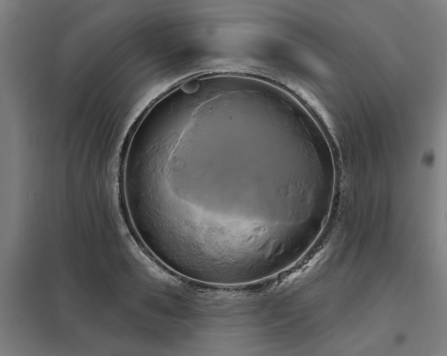 X0000098050941200803281452