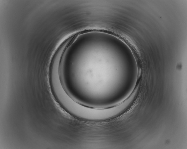 X0000098050942200803281452