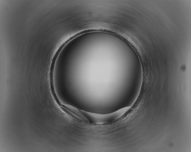 X0000098050943200803281452