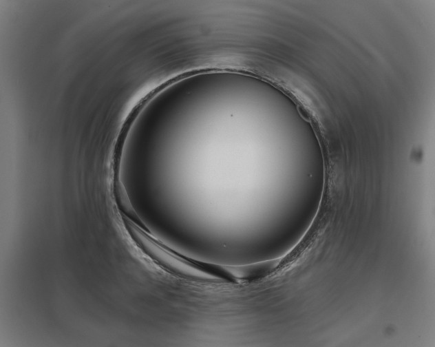 X0000098050944200803281452