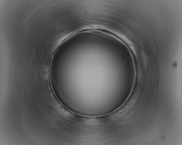 X0000098050945200803281452