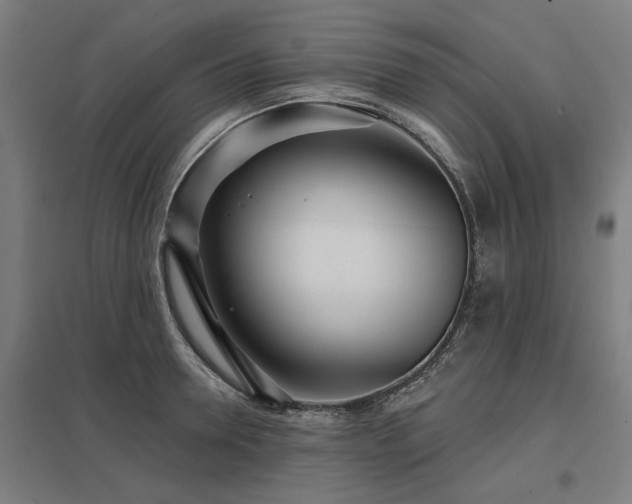 X0000098050946200803281452