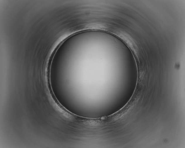 X0000098050947200803281452