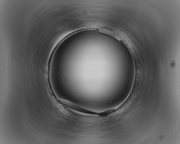 X0000098050948200803281452