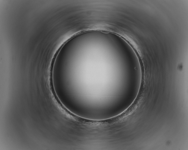 X0000098050949200803281452