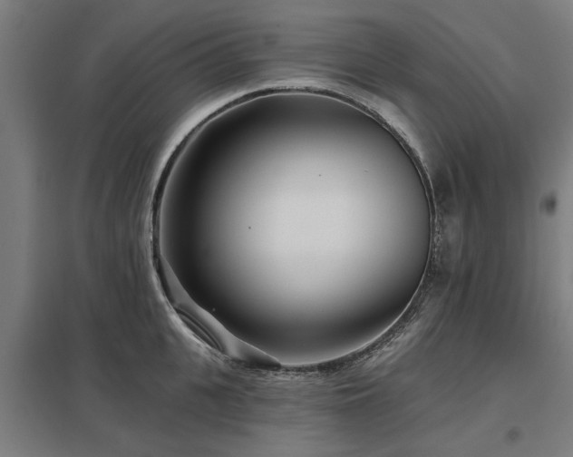 X0000098050951200803281452