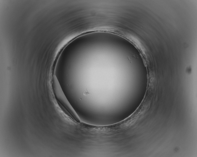 X0000098050952200803281452