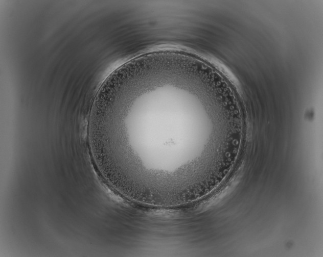 X0000098050953200803281452