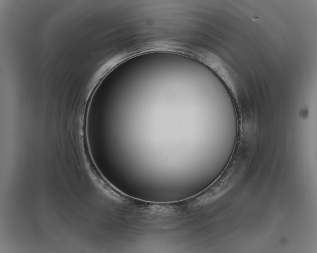 X0000098050954200803281452