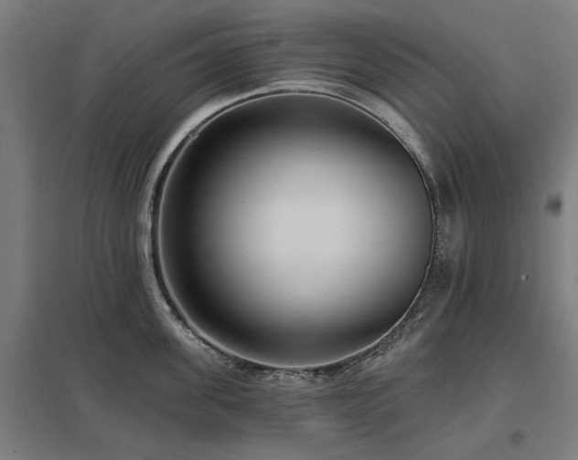 X0000098050955200803281452