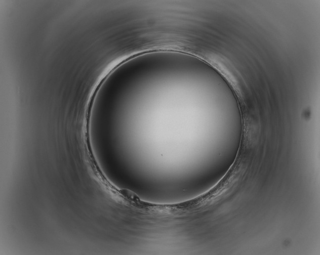 X0000098050956200803281452