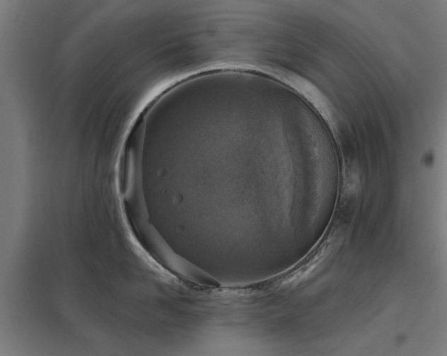 X0000098050958200803281452