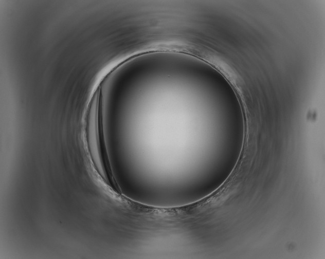 X0000098050960200803281452
