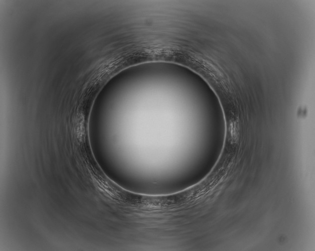 X0000098050963200803281451