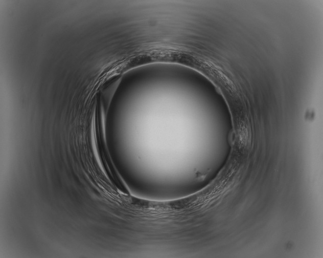 X0000098050964200803281451