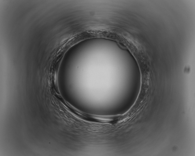 X0000098050965200803281451