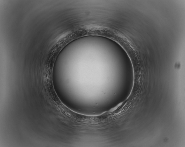 X0000098050966200803281451