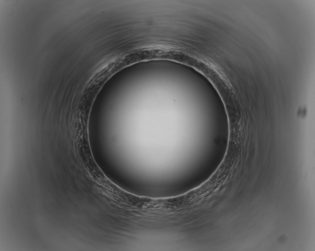 X0000098050967200803281451
