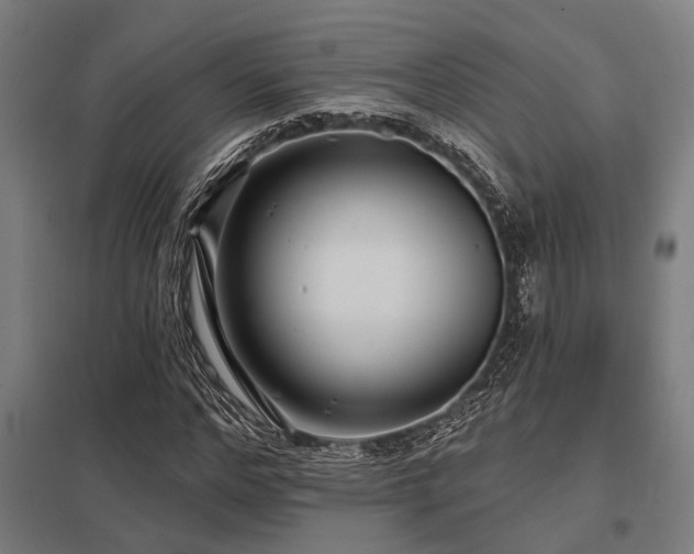 X0000098050968200803281451