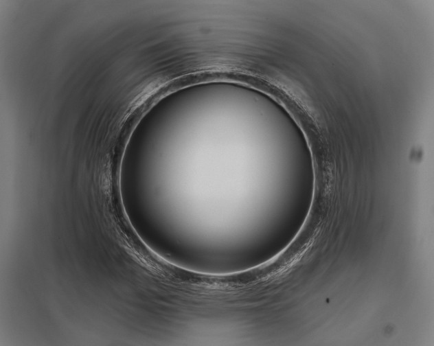 X0000098050969200803281451