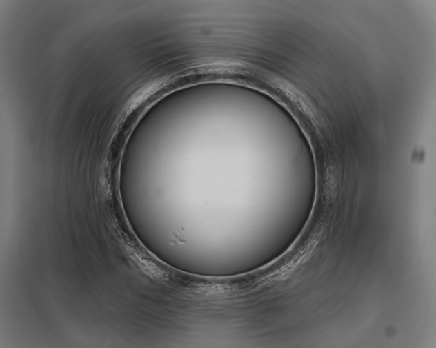 X0000098050970200803281451