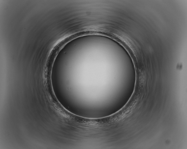 X0000098050971200803281451
