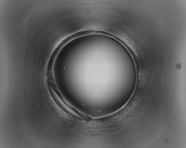 X0000098050972200803281451
