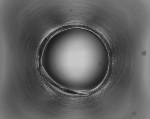 X0000098050973200803281451