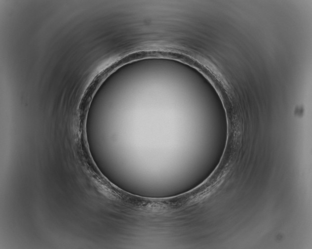 X0000098050974200803281451