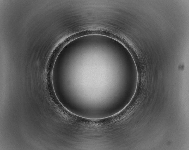 X0000098050975200803281451