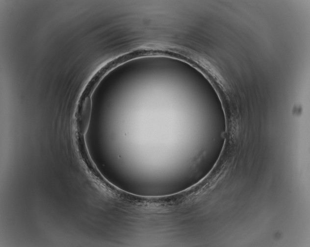 X0000098050976200803281451