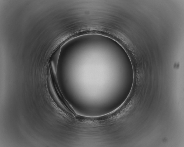 X0000098050977200803281451