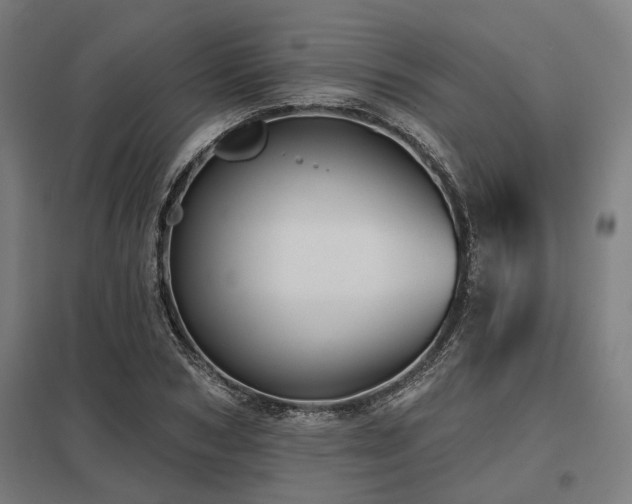 X0000098050978200803281451