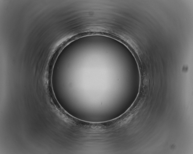 X0000098050979200803281451