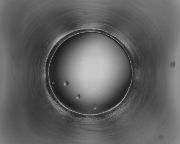 X0000098050980200803281451