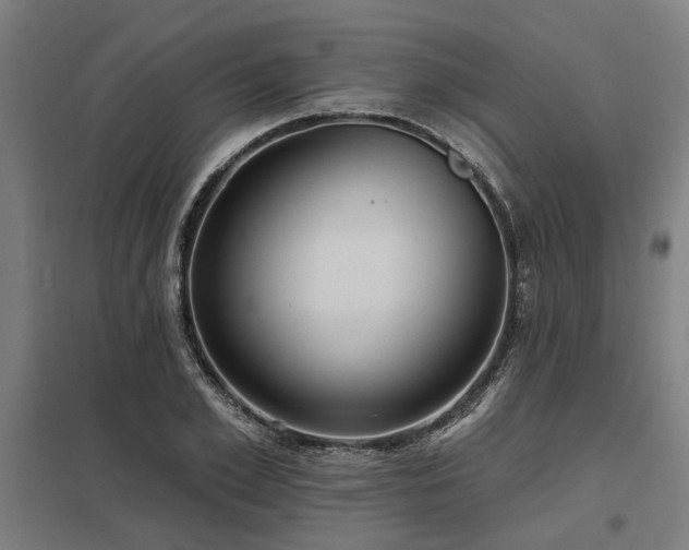 X0000098050981200803281451