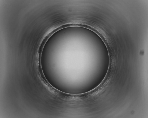 X0000098050982200803281451