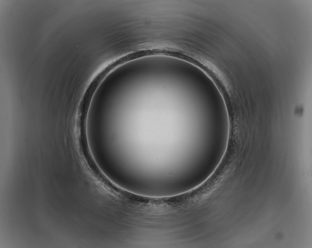 X0000098050983200803281451