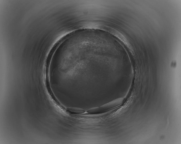 X0000098050984200803281451
