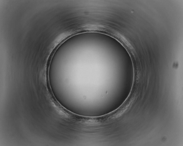 X0000098050986200803281451
