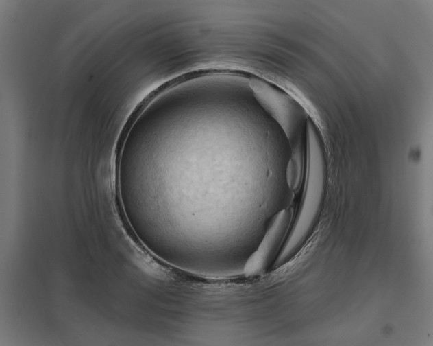 X0000098050988200803281451