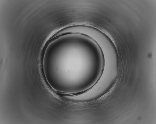 X0000098050989200803281451