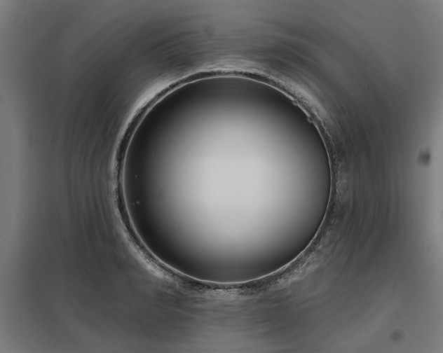 X0000098050990200803281451