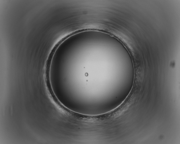 X0000098050991200803281451