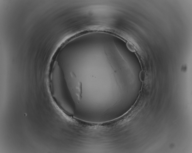 X0000098050992200803281451