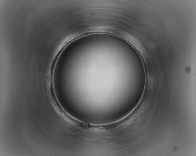 X0000098050994200803281450